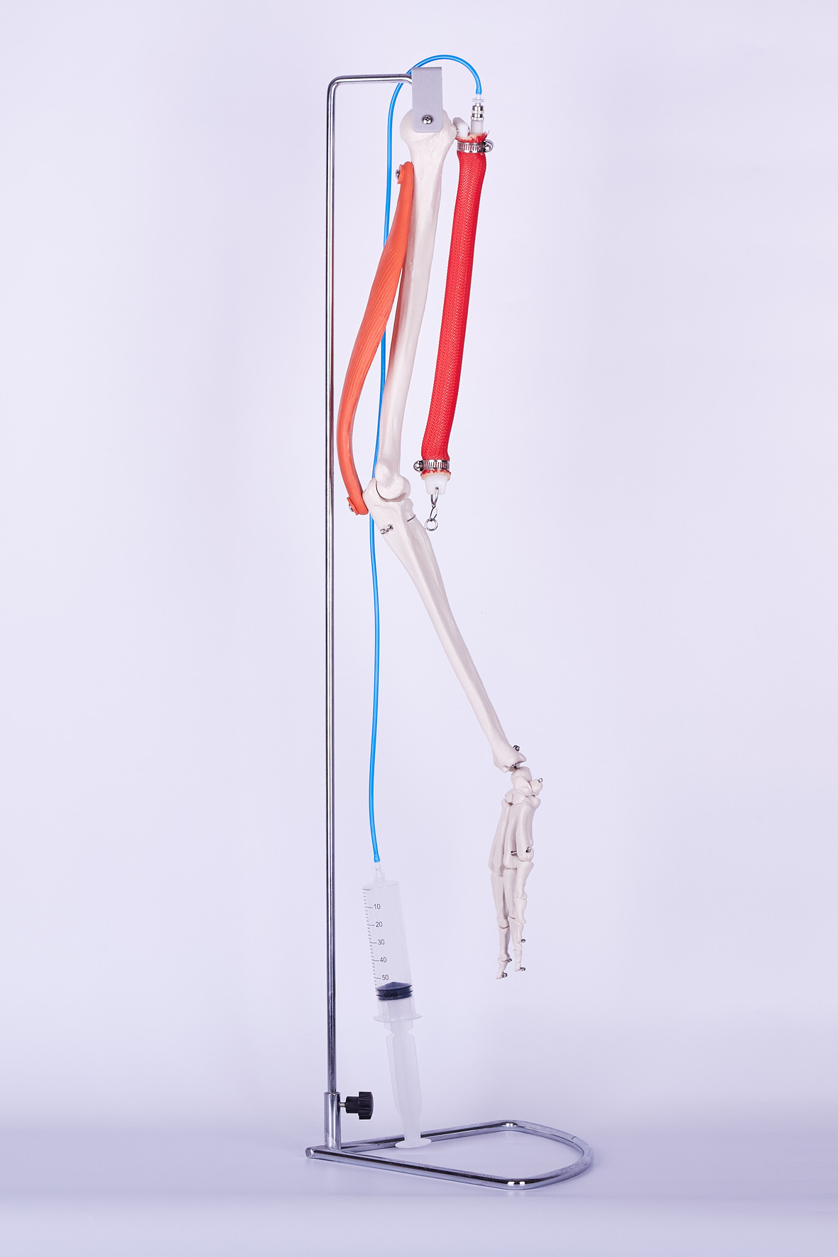  XC-100 Skeleton Series  >  Skeleton Models  >  XC