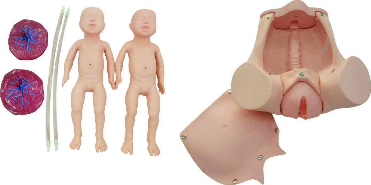 XC-402B Childbirth Skill Training Simulator