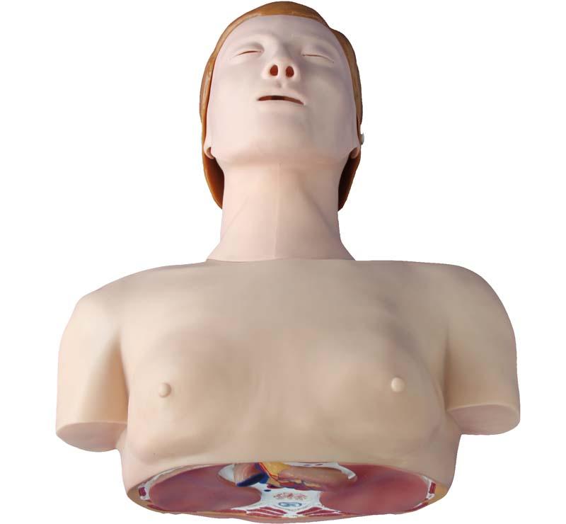 XC-404 Basic CPR Training Model (Half Body)