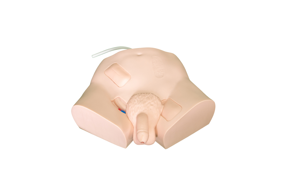 XC-405A Simple Male Urethral Catheterization Simul