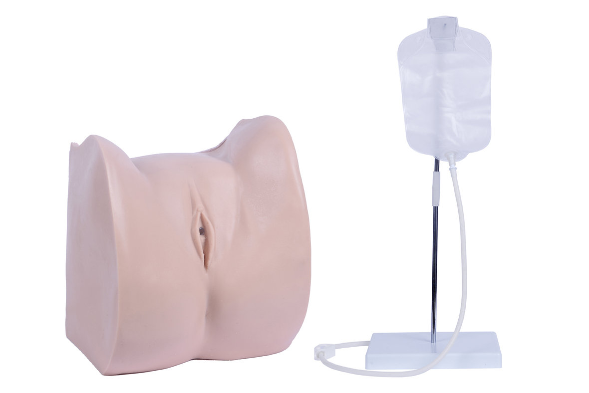 XC-405B Simple Female Urethral Catheterization Sim