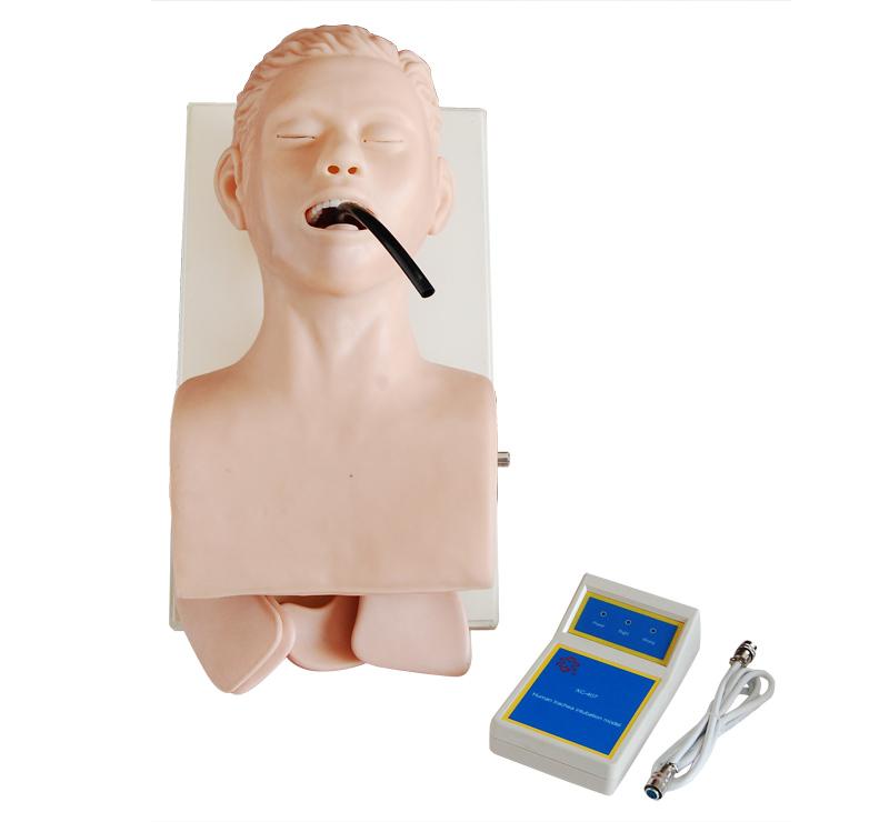 XC-407 Human Trachea Intubation Model
