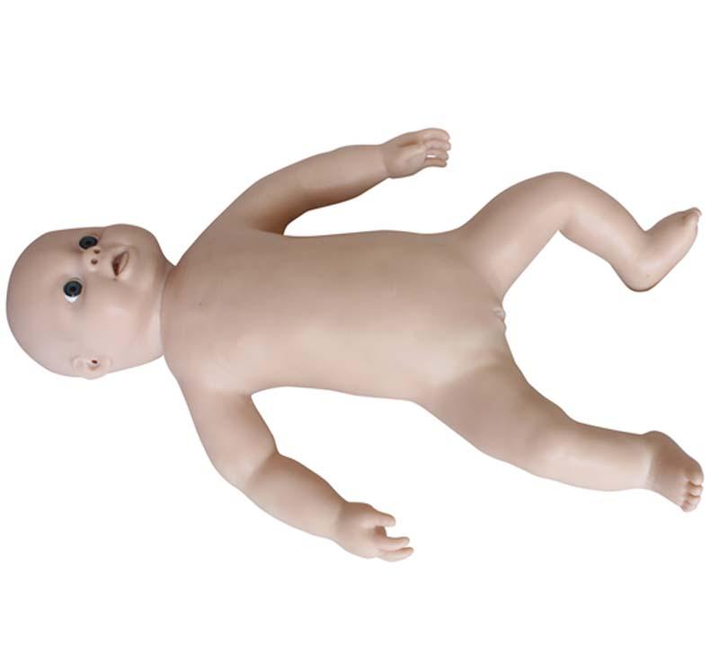 XC-409B Advanced Newborn Care Model(Boy/Girl)