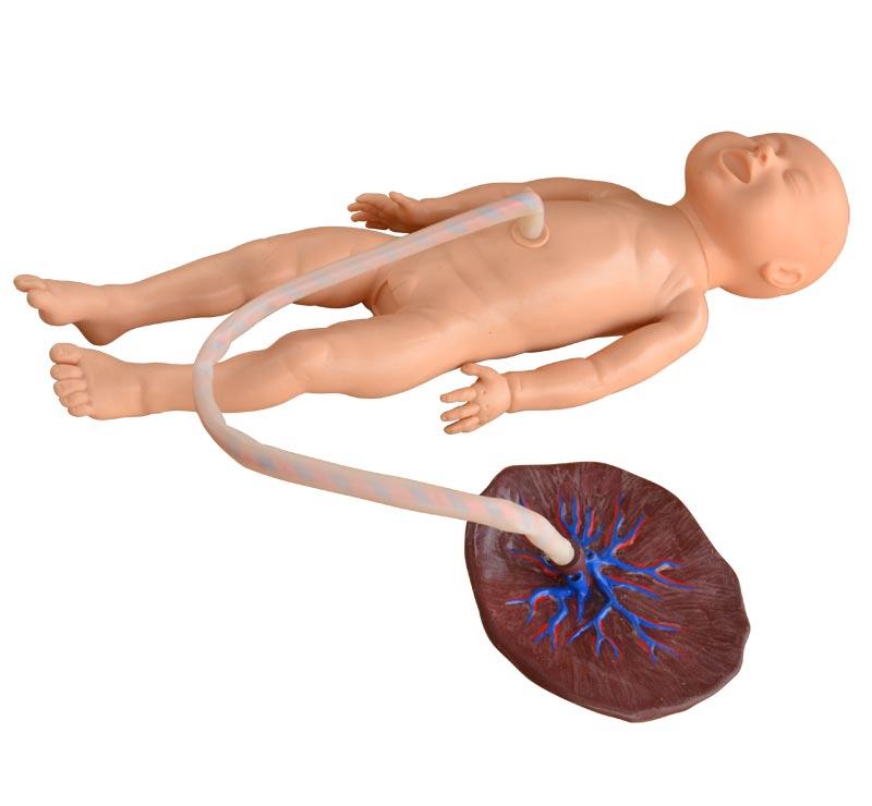 XC-409C Advanced Neonate Umbilical Cord Nursing Mo