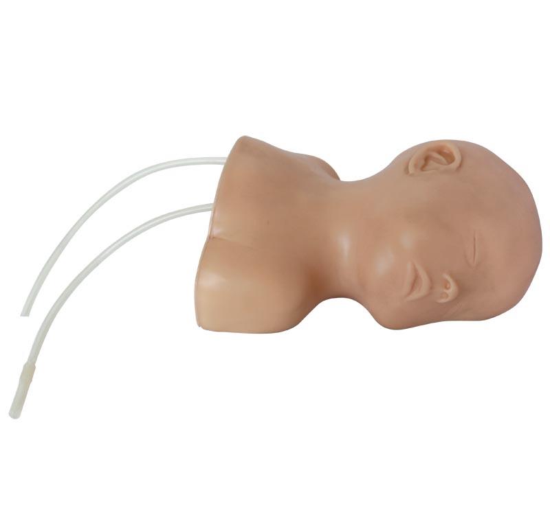 XC-409E Neonate Scalp Venipuncture Model