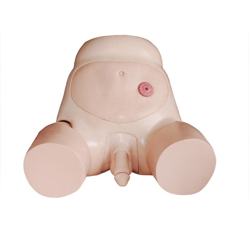 XC-408C Advanced Male Urethral Catheterization Sim