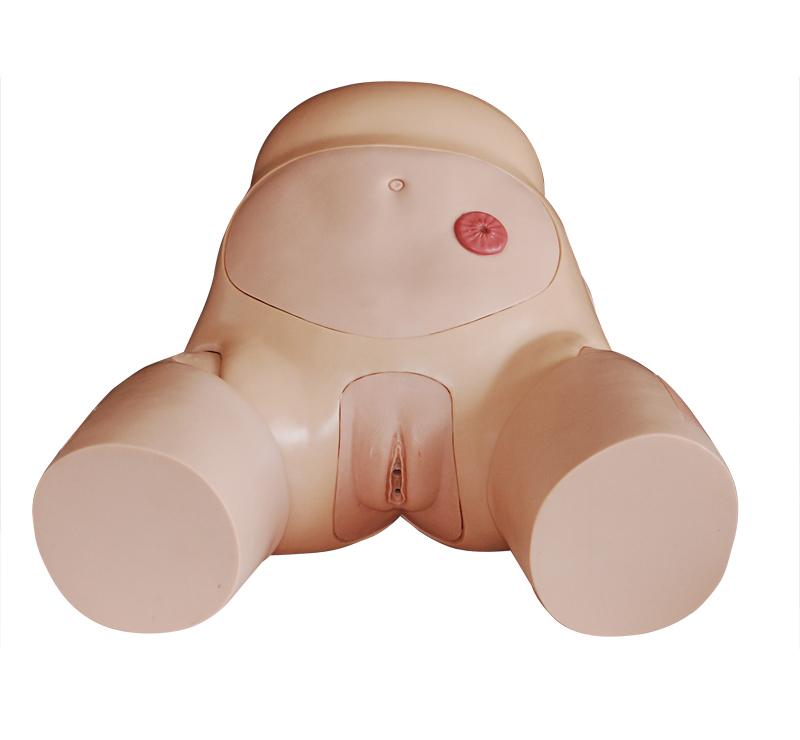 XC-408D Advanced Female Urethral Catheterization S