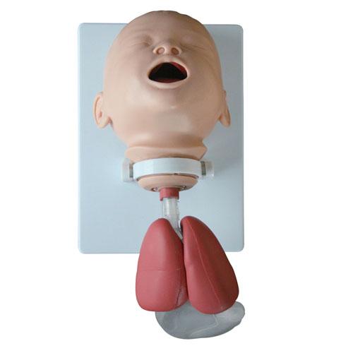 XC-410A Infant Intubation Training Model