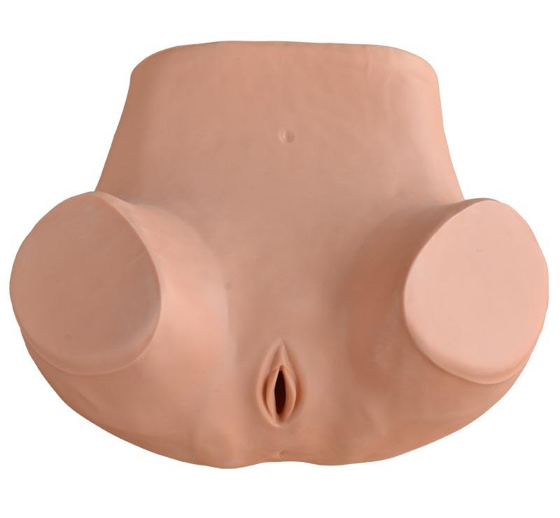 XC-411 Gynecological Training Simulator