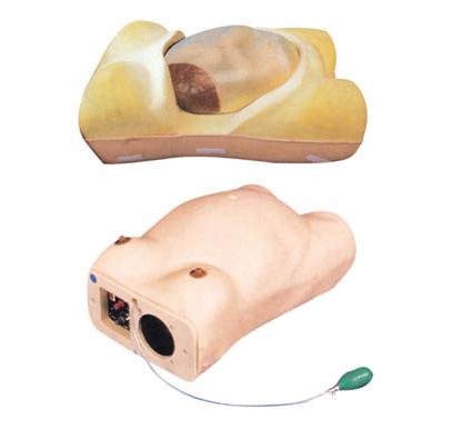 XC-412 Advanced Maternity Model