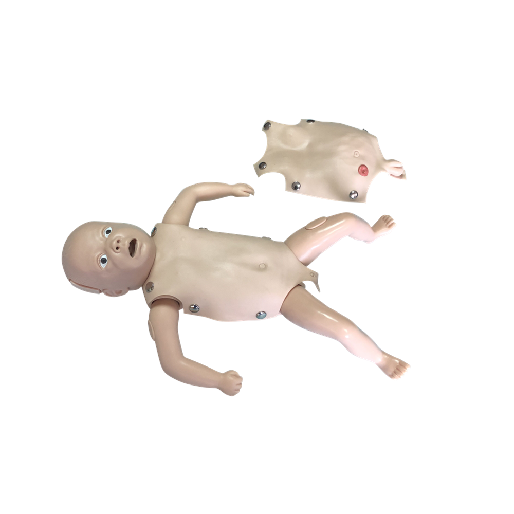 XC-424 Advanced Newborn Nursing Model