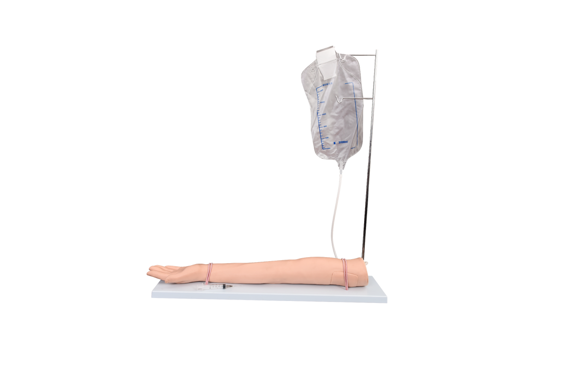 XC-434 Injectable Training Arm Model (With Set)