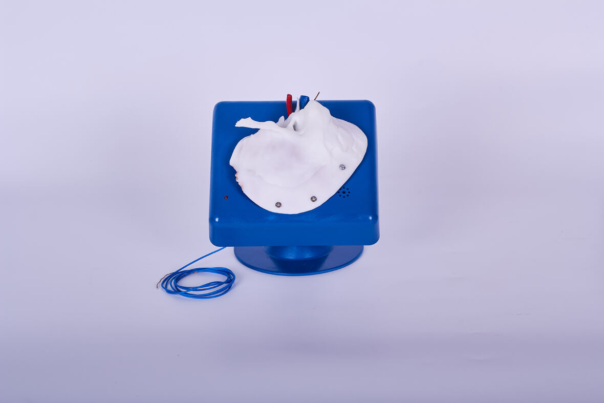 XC-437 TEMPORAL BONE SURGICAL TRAINING SIMULATOR
