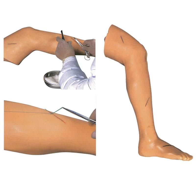 XC-440 Advanced Suture Practice Leg