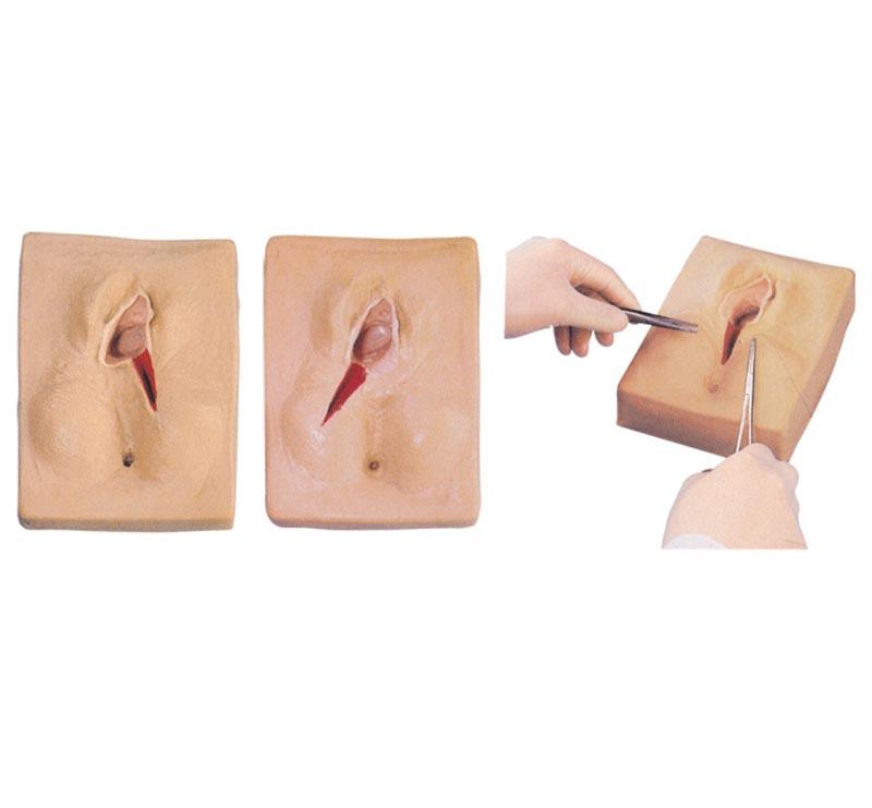 XC-447 Vulva Suturing Training Simulator