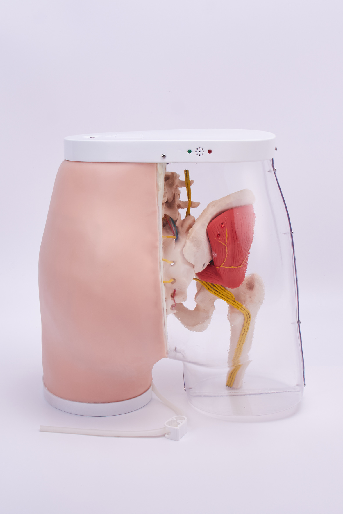 XC-453B SMART FEEDBACK GLUTEAL IM INJECTION MODEL