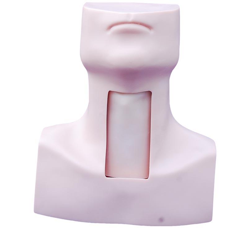 XC-454 Tracheostomy Simulator