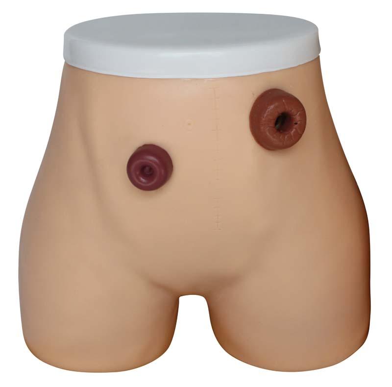  XC-456 Ostomy Nursing Model