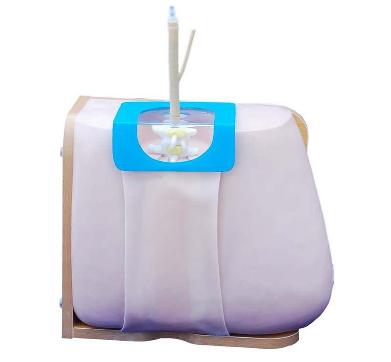 XC-463 Lumbar Puncture Model