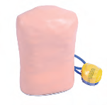 XC-465A PNEUMOTHORAX SIMULATOR