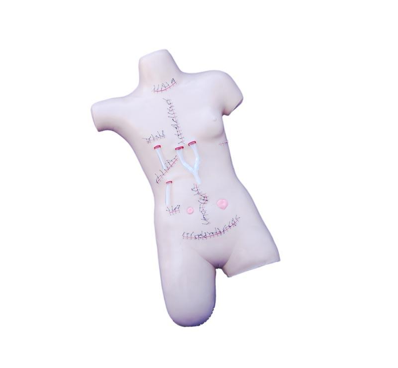 XC-471 Surgical Suture and Bandaging Model