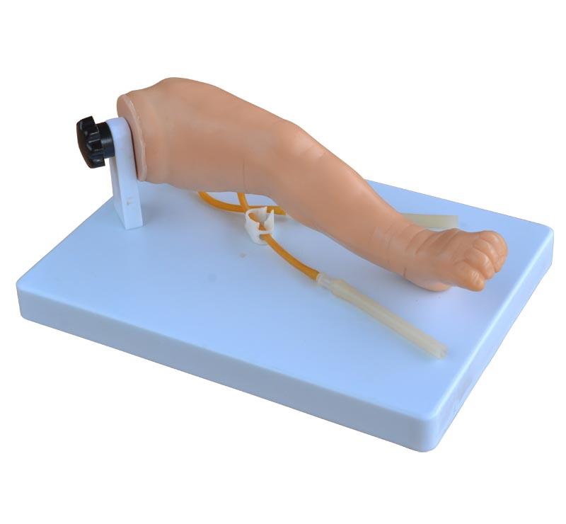 XC-485 Advanced infant venipuncture leg
