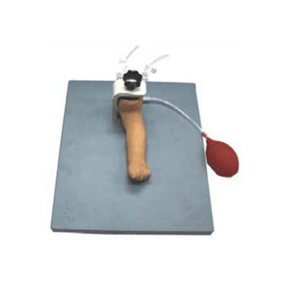 XC-486 INFANT ARTERY PUNCTURE ARM
