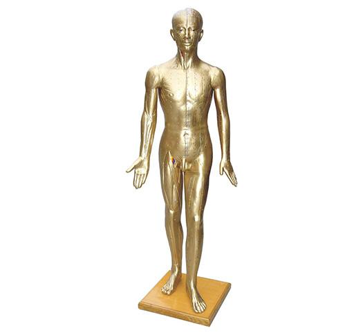 XC-501A DELUXE ACUPUNCTURE MODEL 178CM(COPPER COLO