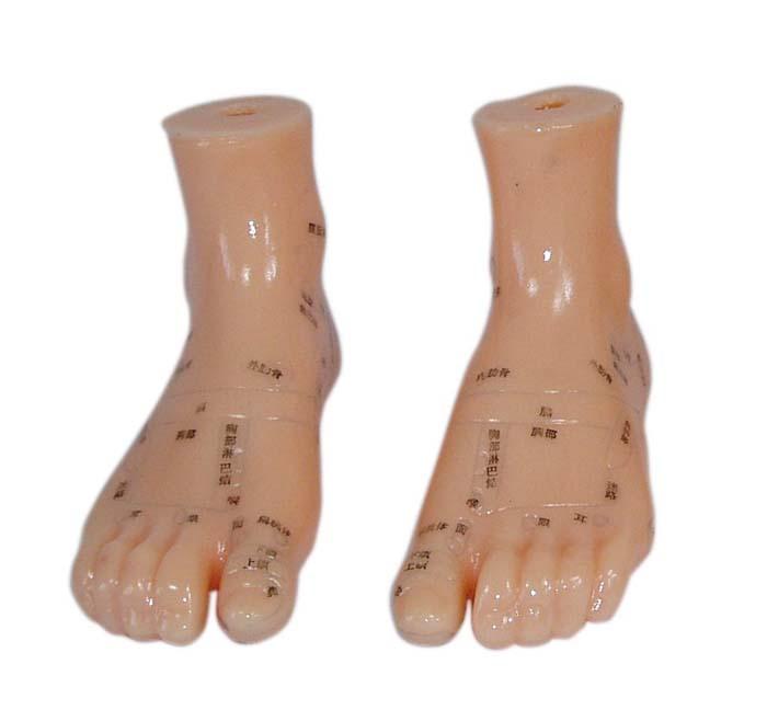 XC-515B Massage Foot Model 12CM
